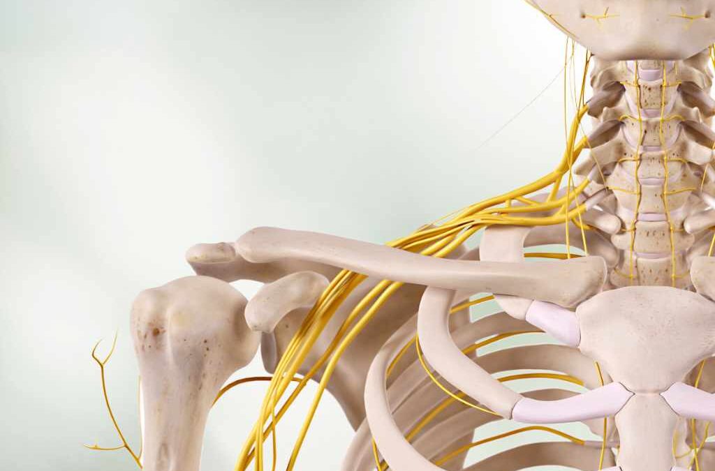 Upper Body Rehab