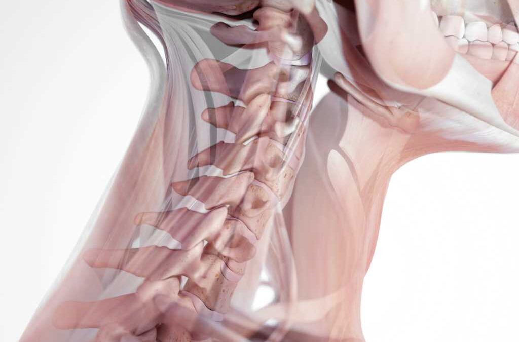 Natural Neck Pain Relief